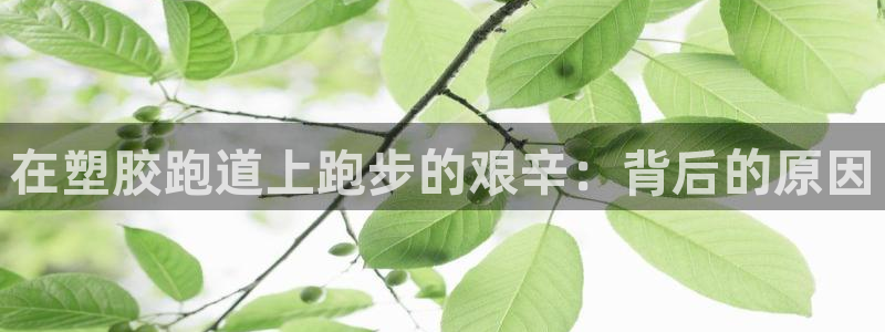 尊龙长相评价：在塑胶跑道上跑步的艰辛：背后的原因
