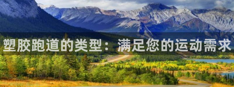 ZL尊龙凯时集团：塑胶跑道的类型：满足您的运动需求