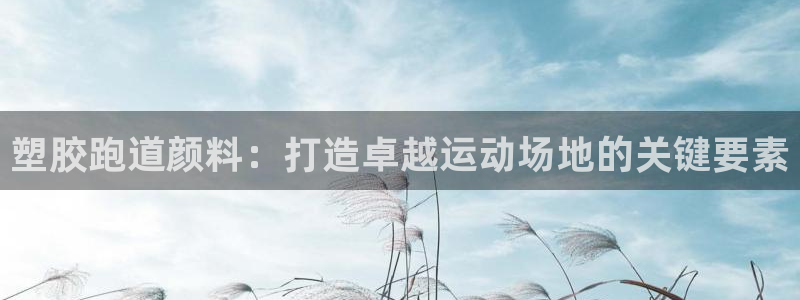 尊龙人生就是博登录准认来就送38：塑胶跑道颜料：打造卓越运动场地的关键要素