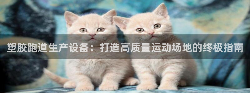 尊龙凯时的生产设备：塑胶跑道生产设备：打造高质量运动