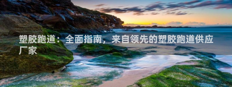 尊龙凯时人生就是搏平台：塑胶跑道：全面指南，来自领先的塑胶跑道供应
厂家