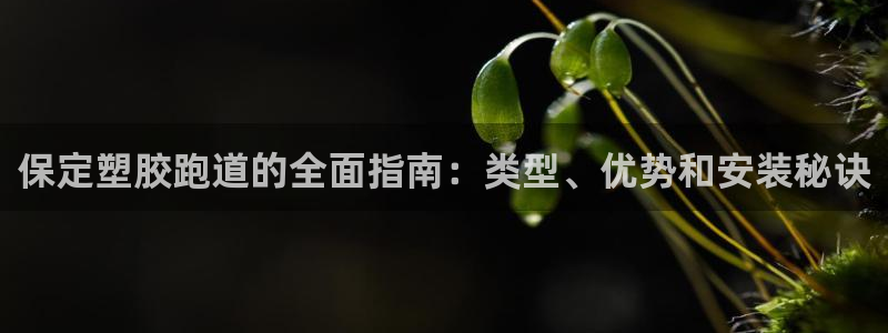 尊龙凯时下载官方正版