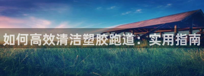 尊龙凯时取款不成功：如何高效清洁塑胶跑道：实用指南