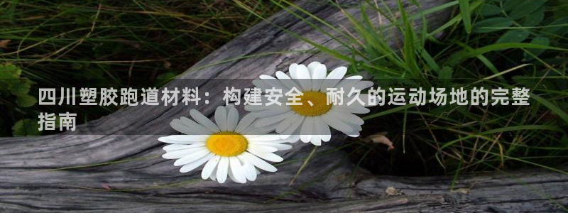 尊龙app认可ag发财网：四川塑胶跑道材料：构建安全、耐久的运动场地的完整
指南