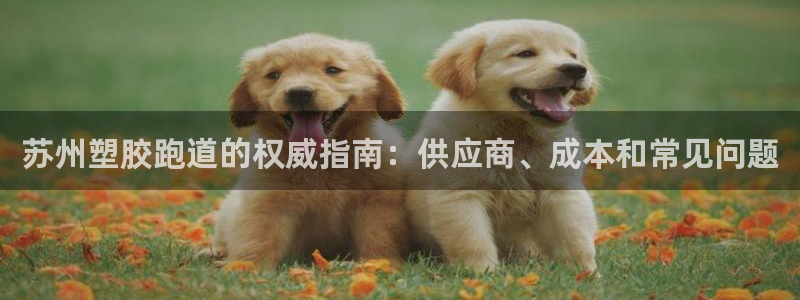 尊龙凯时凯发官网：苏州塑胶跑道的权威指南：供应商、成本和常见问题