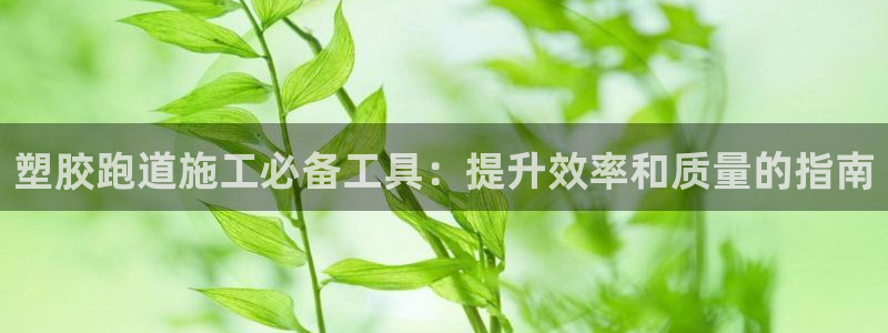 z6尊龙凯时：塑胶跑道施工必备工具：提升效率和质量的指南