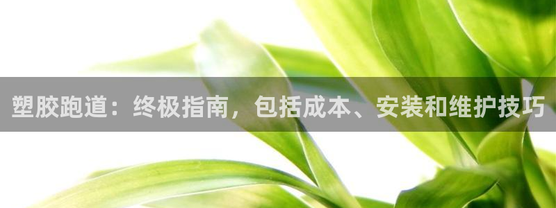 凯时国际app首页登录入口：塑胶跑道：终极指南，包括成本、安装和维护技巧