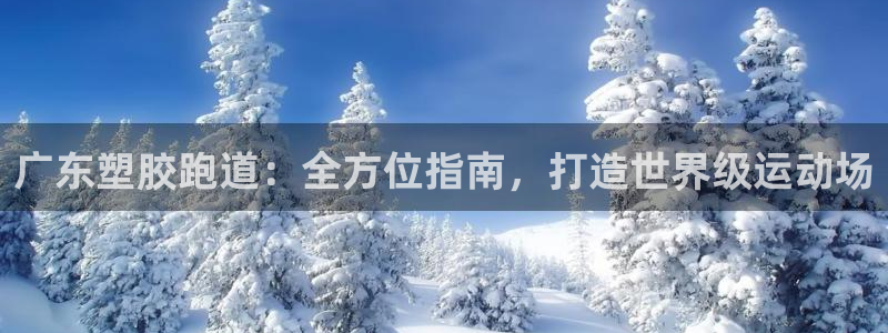 尊龙游戏官方网：广东塑胶跑道：全方位指南，打造世界级运动场