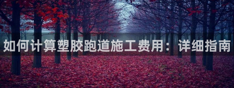尊龙2016：如何计算塑胶跑道施工费用：详细指南