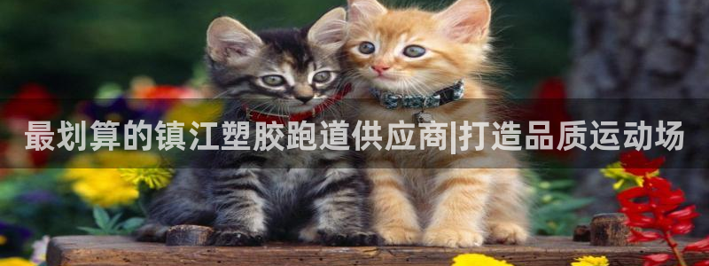 z6尊龙凯时旗：最划算的镇江塑胶跑道供应商|打造品质运动场
