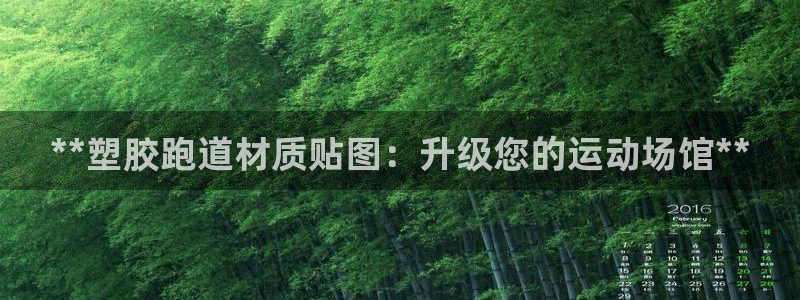 尊龙手机客户端app：**塑胶跑道材质贴图：升级您的