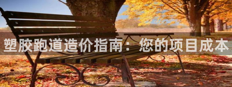 尊龙凯时始人生就是博：塑胶跑道造价指南：您的项目成本