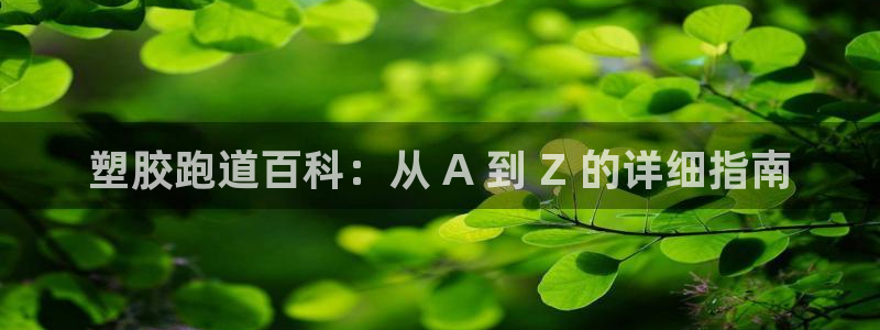 尊龙凯时是大平台吗：塑胶跑道百科：从 A 到 Z 的详细指南