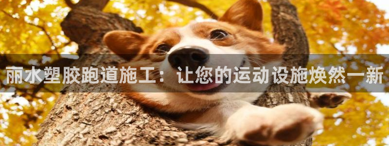 凯时官网app下载官方网站：丽水塑胶跑道施工：让您的运动设施焕然一新