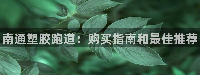 尊龙t400和尊龙t300区别：南通塑胶跑道：购买指南和最佳推荐