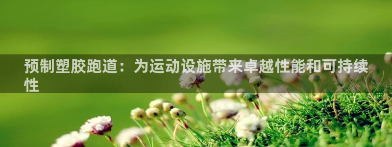 尊龙人生就是傅官网：预制塑胶跑道：为运动设施带来卓越性能和可持续
性