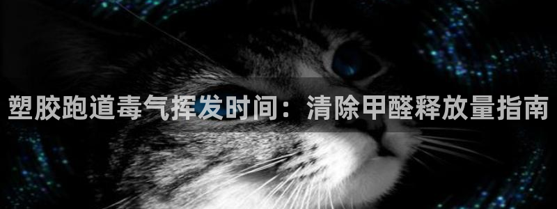 尊龙官网在哪里：塑胶跑道毒气挥发时间：清除甲醛释放量指南