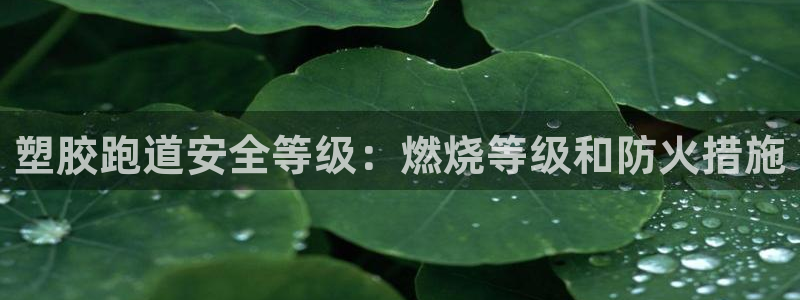尊龙官网注册：塑胶跑道安全等级：燃烧等级和防火措施