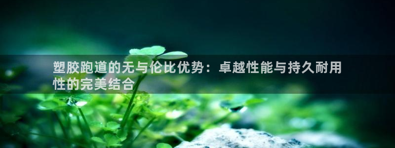 尊龙信息科技有限公司：塑胶跑道的无与伦比优势：卓越性能与持久耐用
性的完美结合