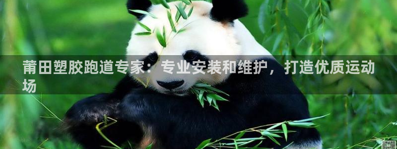 尊龙官方平台是正品吗：莆田塑胶跑道专家：专业安装和维