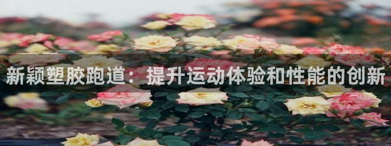 尊龙凯时有限公司：新颖塑胶跑道：提升运动体验和性能的创新