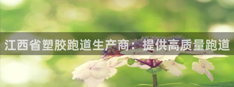 尊龙凯时平台不给出款怎么办：江西省塑胶跑道生产商：提供高质量跑道