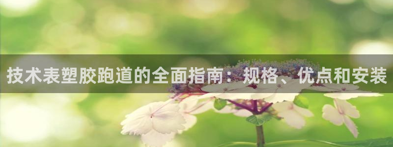 z6com尊龙凯时百家乐：技术表塑胶跑道的全面指南：