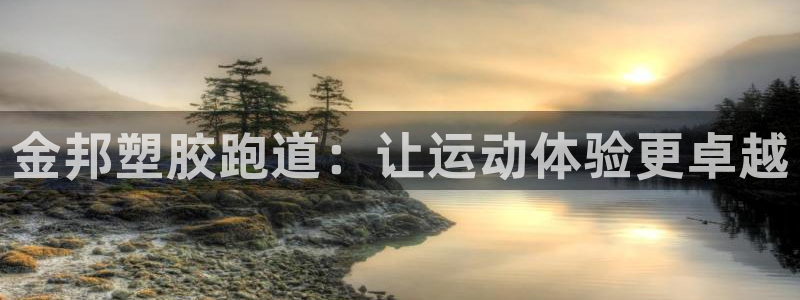 尊龙网站注册网：金邦塑胶跑道：让运动体验更卓越