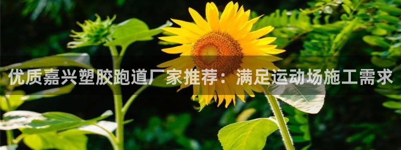 尊龙人生就是-首页：优质嘉兴塑胶跑道厂家推荐：满足运动场施工需求