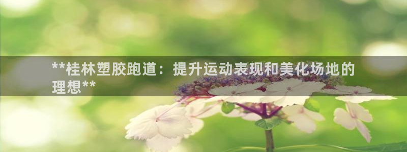 凯时在线平台官网：**桂林塑胶跑道：提升运动表现和美化场地的
理想**