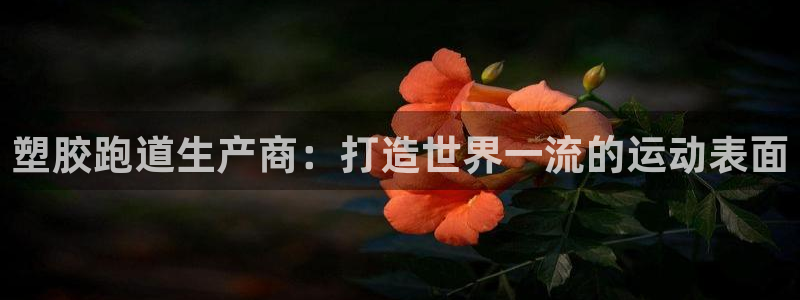 尊龙下载推荐网站：塑胶跑道生产商：打造世界一流的运动