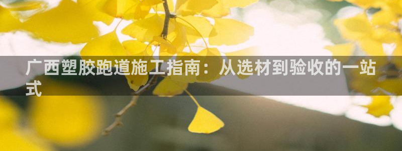 尊龙凯时网站是什么地方人开的：广西塑胶跑道施工指南：从选材到验收的一站
式