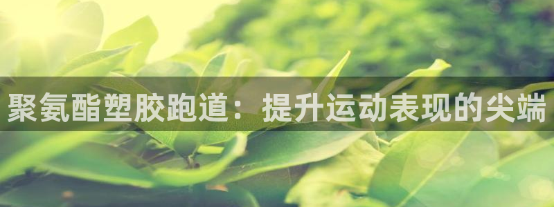 尊龙凯时正规吗：聚氨酯塑胶跑道：提升运动表现的尖端