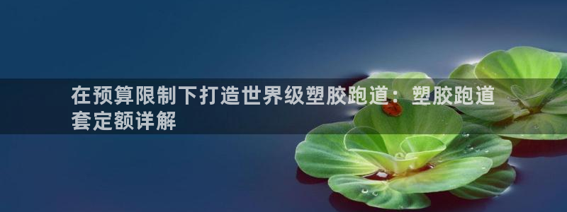 z6尊龙z6：在预算限制下打造世界级塑胶跑道：塑胶跑