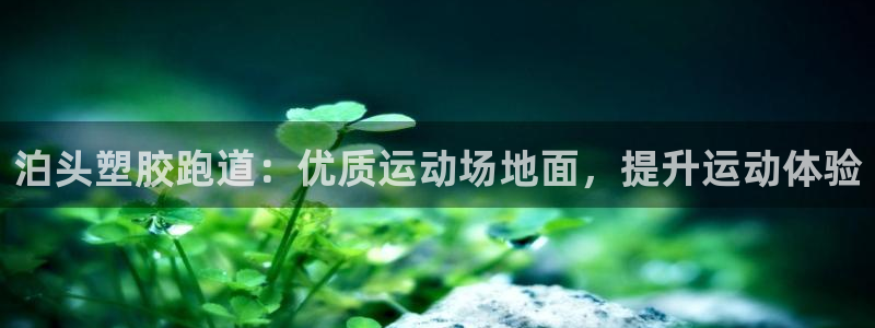 尊龙人生就是博网站下载：泊头塑胶跑道：优质运动场地面，提升运动体验