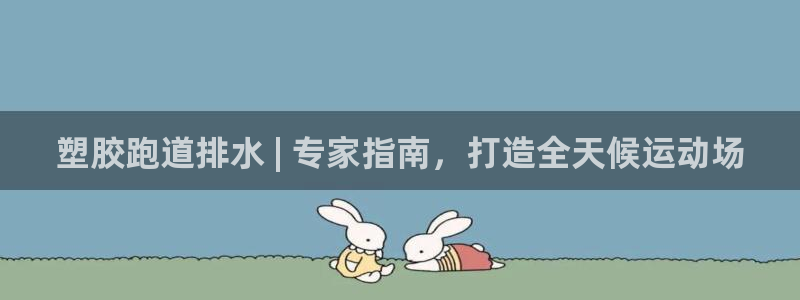 尊龙凯时-人生就是博中国官网：塑胶跑道排水 | 专家
