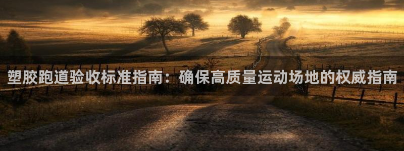 尊龙最新版：塑胶跑道验收标准指南：确保高质量运动场地