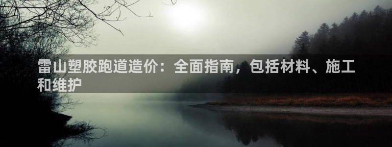 尊龙凯时ag旗舰厅登陆：雷山塑胶跑道造价：全面指南，