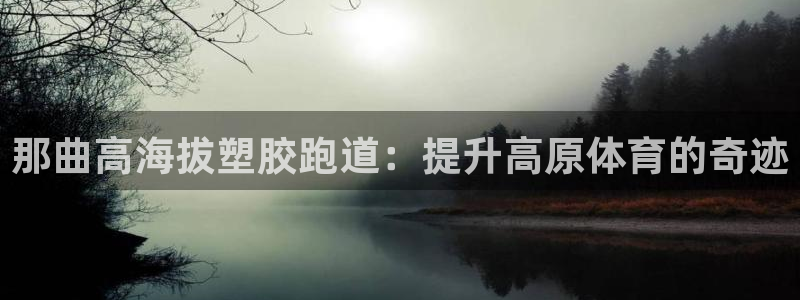 尊龙凯时法拉币：那曲高海拔塑胶跑道：提升高原体育的奇