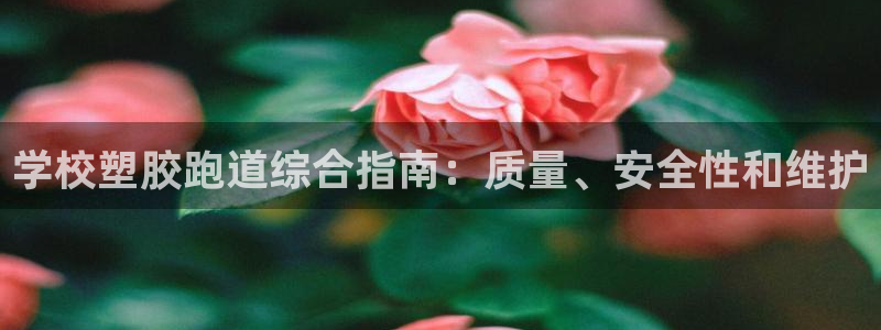 AG尊龙凯时注册：学校塑胶跑道综合指南：质量、安全性和维护