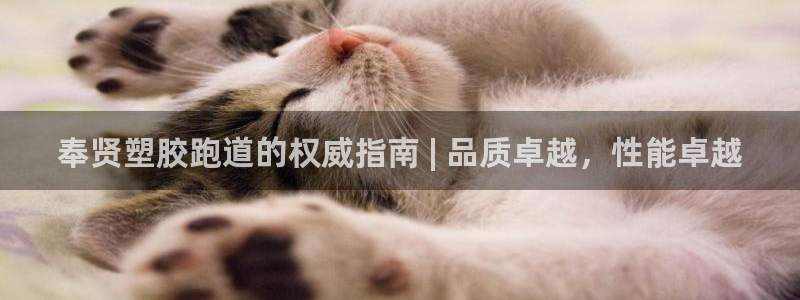 尊龙网址是选访问zd207：奉贤塑胶跑道的权威指南 
