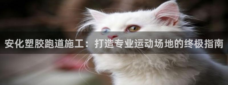 尊龙手机版：安化塑胶跑道施工：打造专业运动场地的终极