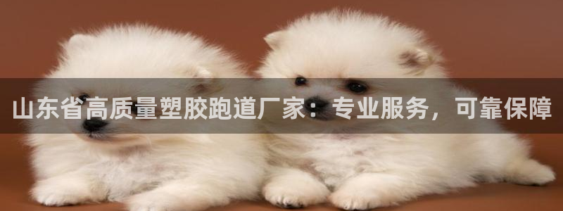 尊龙凯时ag旗舰厅官方网站：山东省高质量塑胶跑道厂家