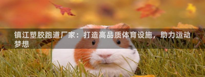 z6com尊龙凯时百家乐：镇江塑胶跑道厂家：打造高品