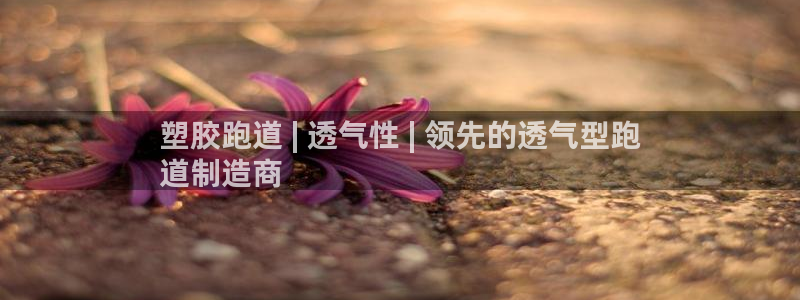 尊龙人生就是博官：塑胶跑道 | 透气性 | 领先的透气型跑
道制造商