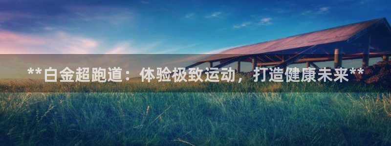 尊龙凯时网站是什么地方人开的：**白金超跑道：体验极