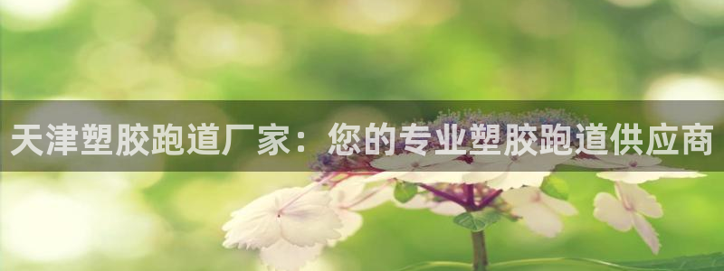 尊龙旗舰厅：天津塑胶跑道厂家：您的专业塑胶跑道供应商