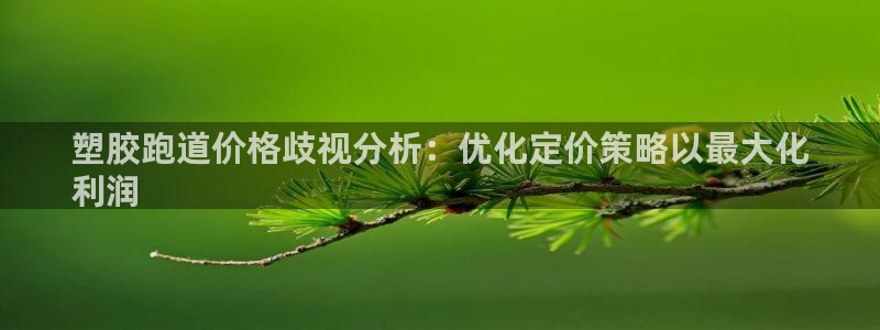 尊龙凯时出款：塑胶跑道价格歧视分析：优化定价策略以最