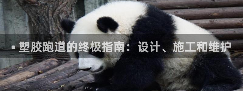 尊龙凯时人生就是搏平台：• 塑胶跑道的终极指南：设计