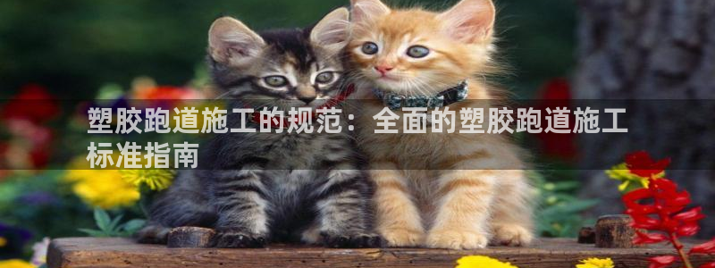 尊龙凯时旗舰厅官网：塑胶跑道施工的规范：全面的塑胶跑道施工
标准指南